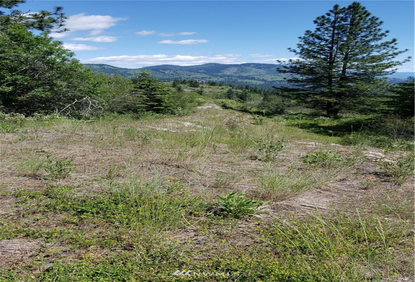 3478 Moore, Kettle Falls, Washington 99141, ,Land,For Sale,Moore,NWM1848875