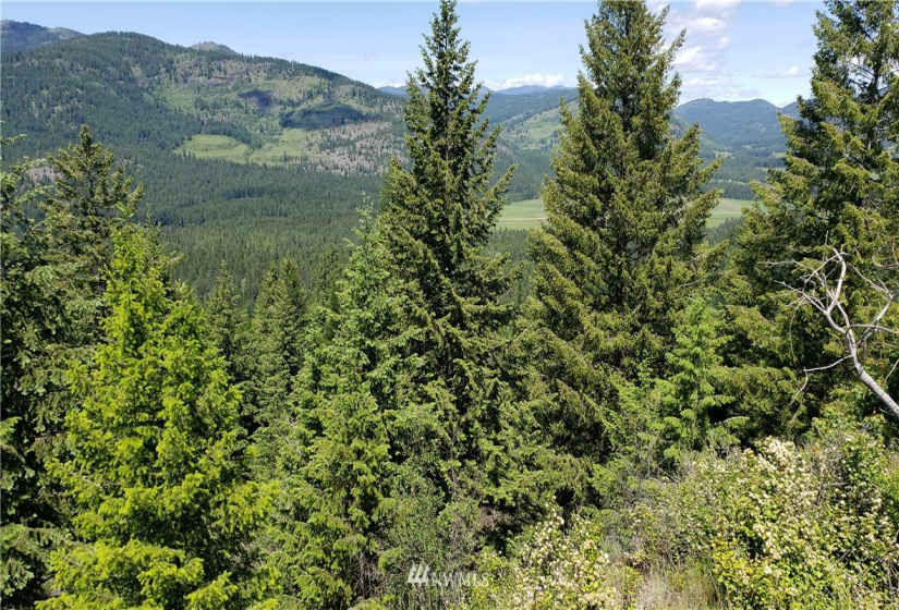 3478 Moore, Kettle Falls, Washington 99141, ,Land,For Sale,Moore,NWM1848875