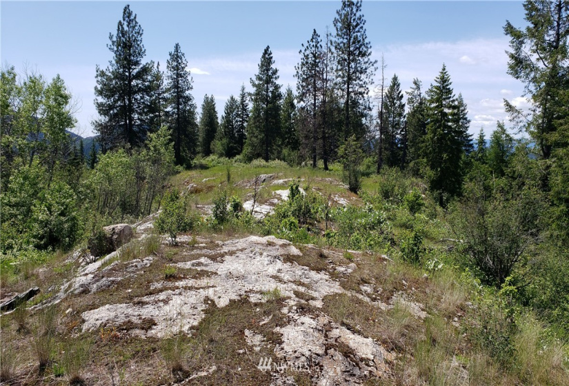 3478 Moore, Kettle Falls, Washington 99141, ,Land,For Sale,Moore,NWM1848875