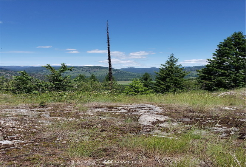 3478 Moore, Kettle Falls, Washington 99141, ,Land,For Sale,Moore,NWM1848875