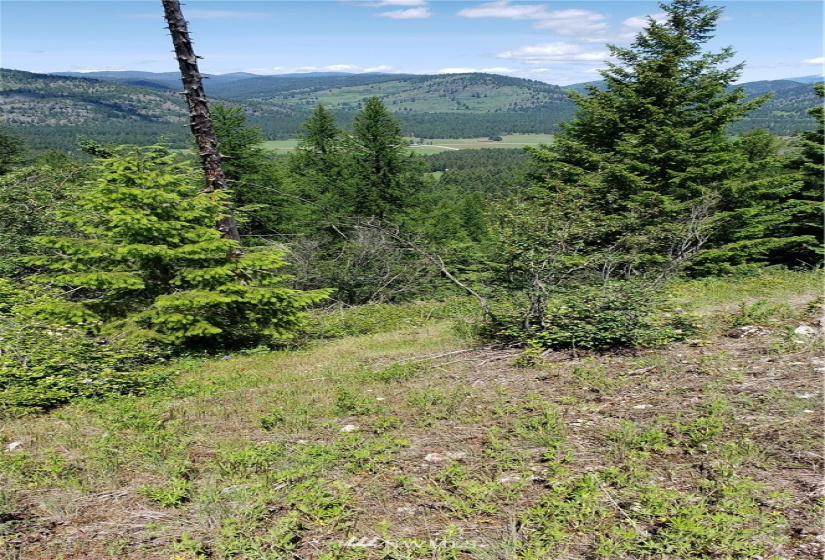 3478 Moore, Kettle Falls, Washington 99141, ,Land,For Sale,Moore,NWM1848875