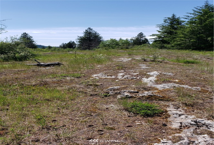 3478 Moore, Kettle Falls, Washington 99141, ,Land,For Sale,Moore,NWM1848875