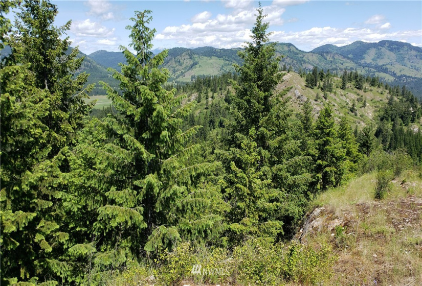 3478 Moore, Kettle Falls, Washington 99141, ,Land,For Sale,Moore,NWM1848875