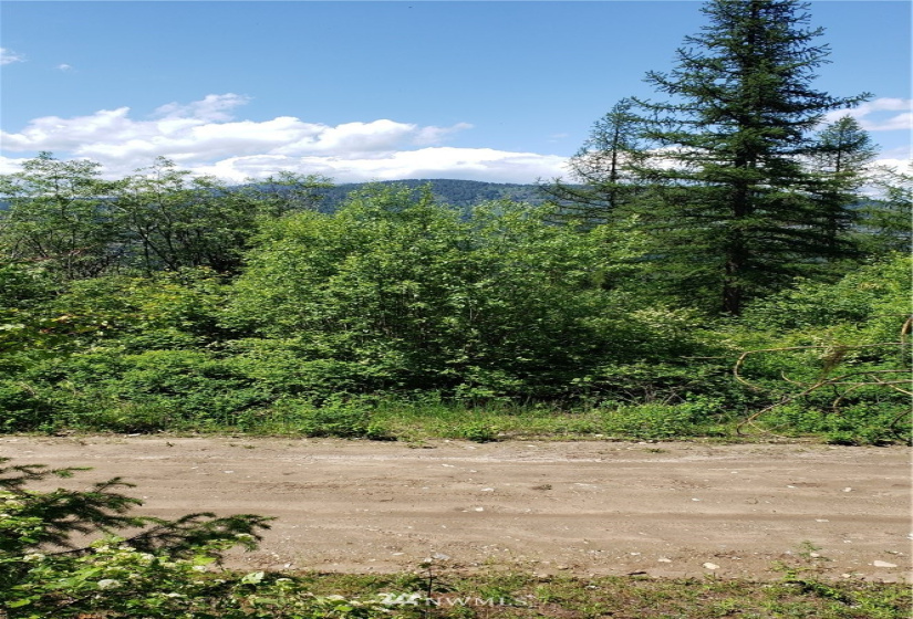 3478 Moore, Kettle Falls, Washington 99141, ,Land,For Sale,Moore,NWM1848875