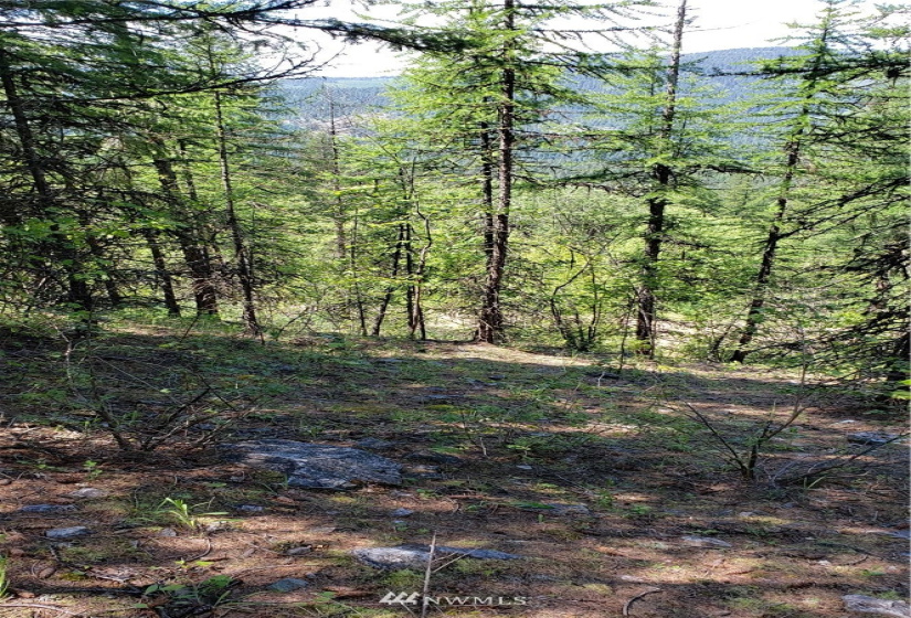 3478 Moore, Kettle Falls, Washington 99141, ,Land,For Sale,Moore,NWM1848875