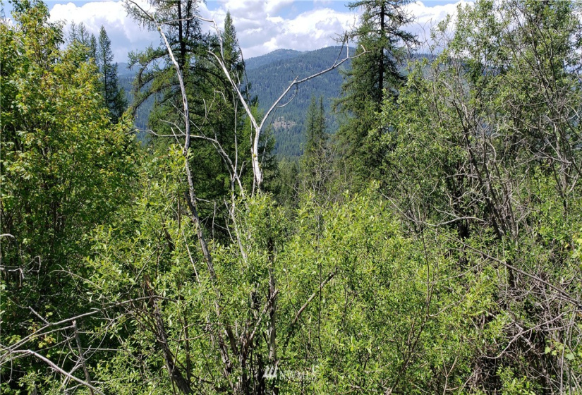 3478 Moore, Kettle Falls, Washington 99141, ,Land,For Sale,Moore,NWM1848875