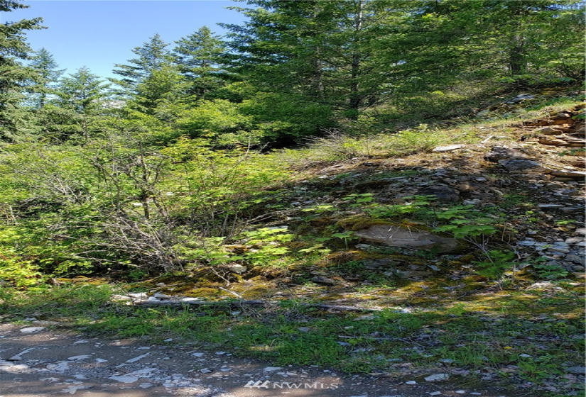 3478 Moore, Kettle Falls, Washington 99141, ,Land,For Sale,Moore,NWM1848875