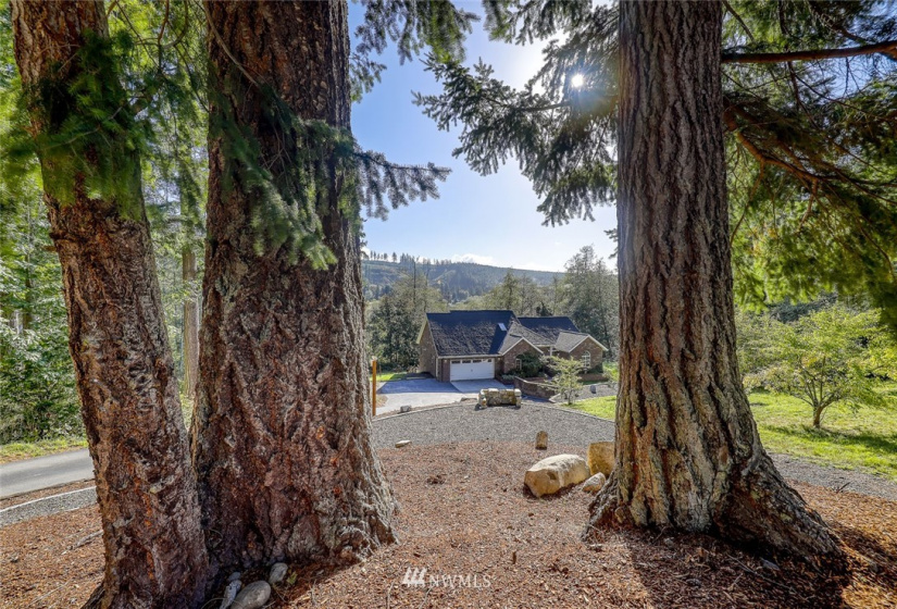 7991 Center, Quilcene, Washington 98376, 3 Bedrooms Bedrooms, ,1 BathroomBathrooms,Residential,For Sale,Thacker-Schlief Short Plat,Center,NWM1848243