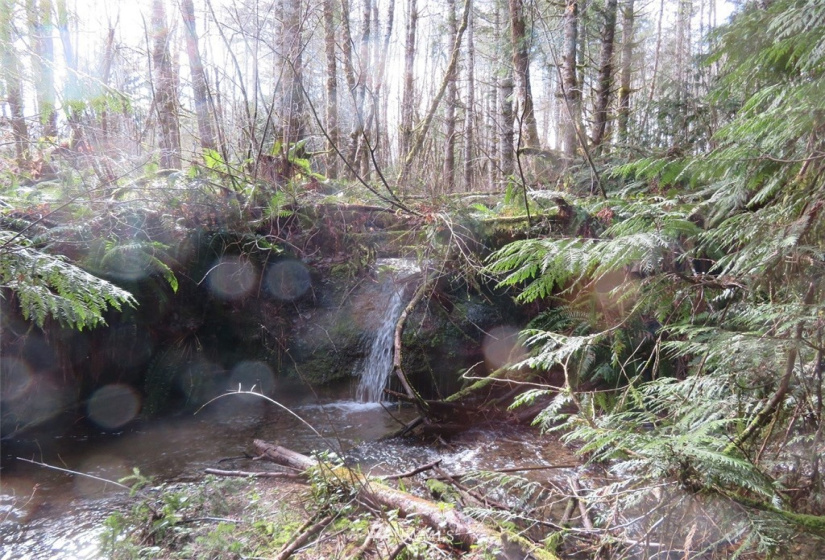 0 Lot 1 Crystal Creek, Shelton, Washington 98584, ,Land,For Sale,Crystal Creek,NWM1849179