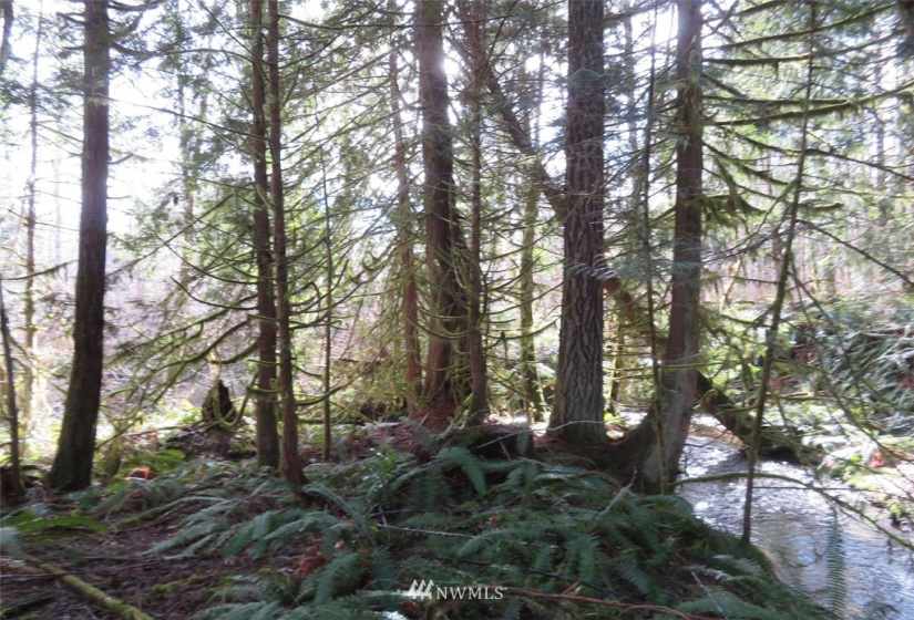 0 Lot 1 Crystal Creek, Shelton, Washington 98584, ,Land,For Sale,Crystal Creek,NWM1849179