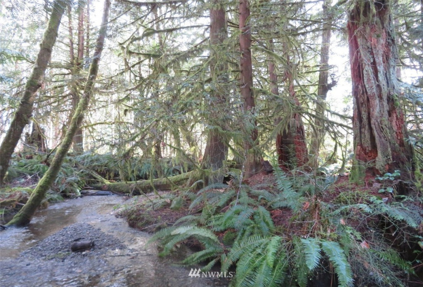 0 Lot 1 Crystal Creek, Shelton, Washington 98584, ,Land,For Sale,Crystal Creek,NWM1849179