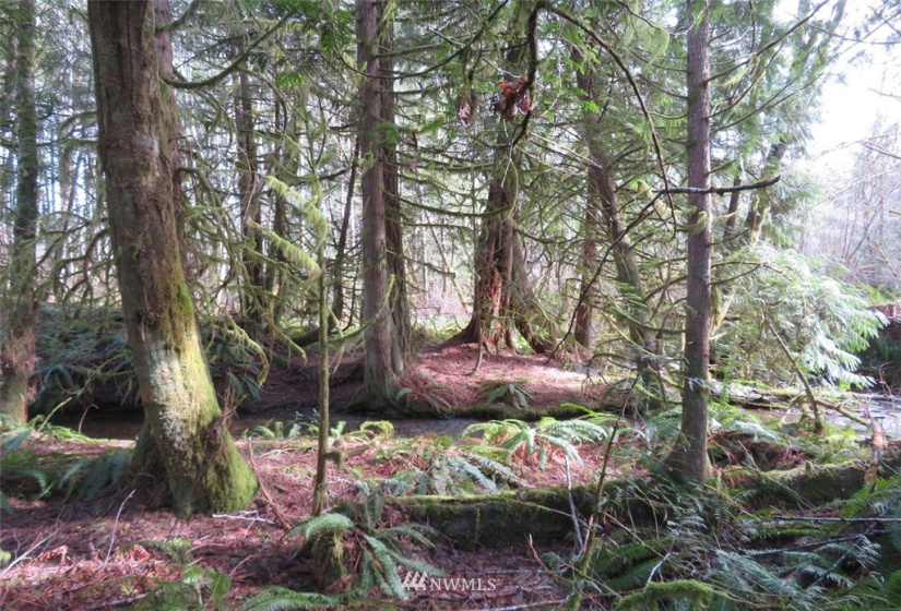 0 Lot 1 Crystal Creek, Shelton, Washington 98584, ,Land,For Sale,Crystal Creek,NWM1849179