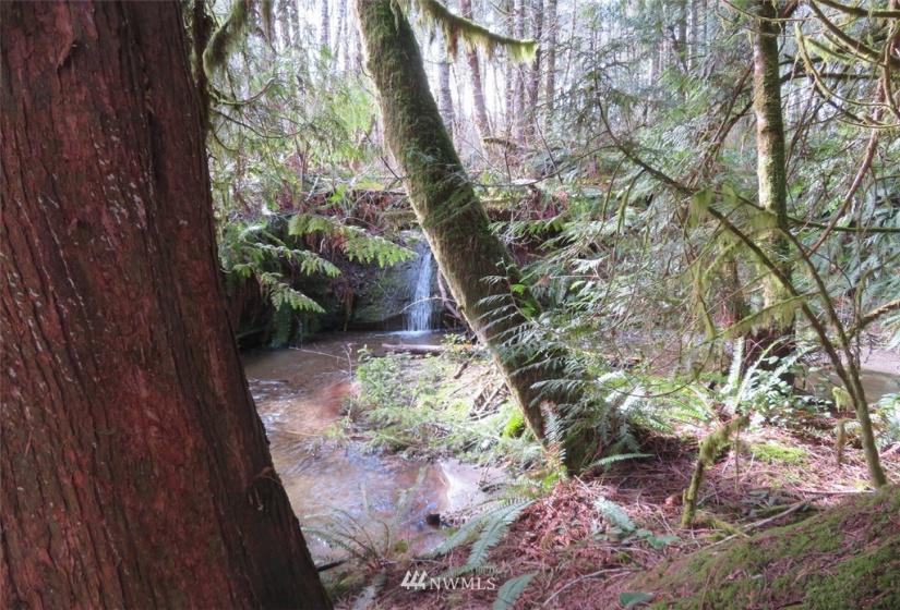 0 Lot 1 Crystal Creek, Shelton, Washington 98584, ,Land,For Sale,Crystal Creek,NWM1849179