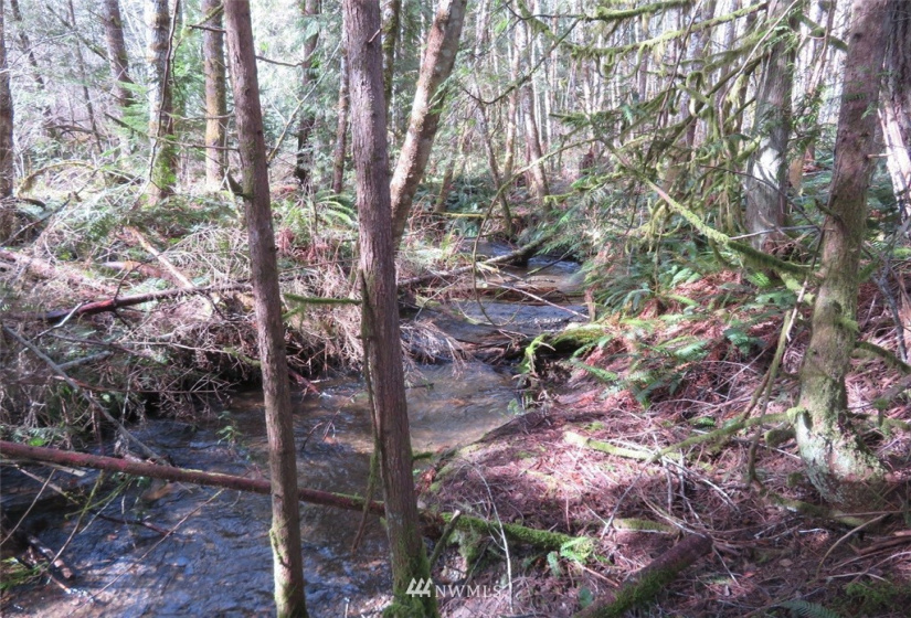 0 Lot 1 Crystal Creek, Shelton, Washington 98584, ,Land,For Sale,Crystal Creek,NWM1849179