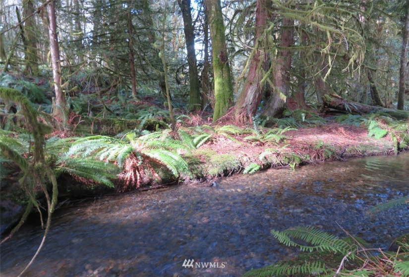 0 Lot 1 Crystal Creek, Shelton, Washington 98584, ,Land,For Sale,Crystal Creek,NWM1849179