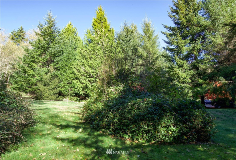 135 Osprey Ridge, Port Ludlow, Washington 98365, ,Land,For Sale,Osprey Ridge,Osprey Ridge,NWM1847871