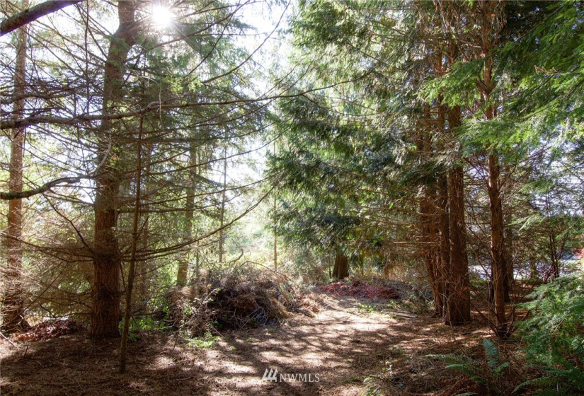 135 Osprey Ridge, Port Ludlow, Washington 98365, ,Land,For Sale,Osprey Ridge,Osprey Ridge,NWM1847871