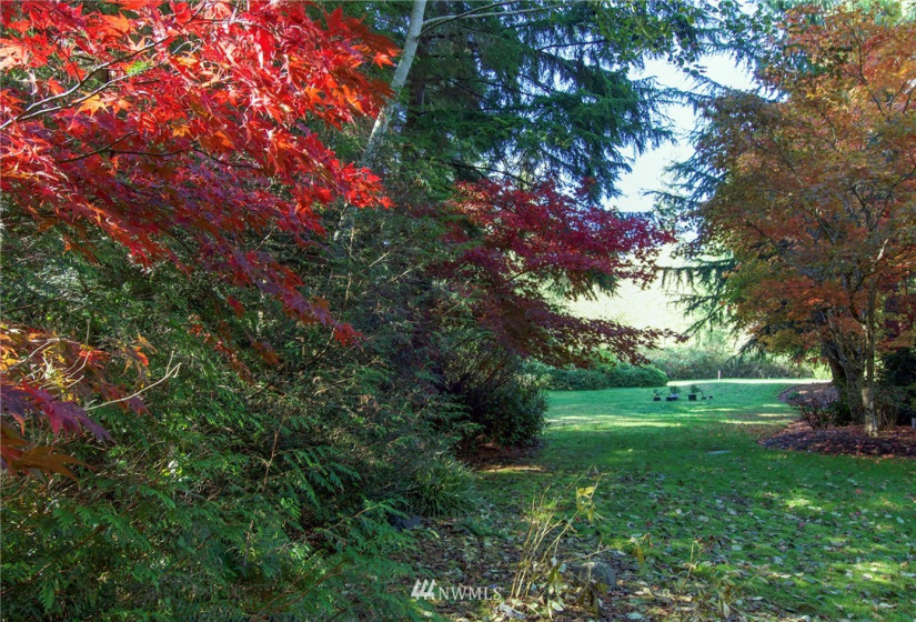 135 Osprey Ridge, Port Ludlow, Washington 98365, ,Land,For Sale,Osprey Ridge,Osprey Ridge,NWM1847871
