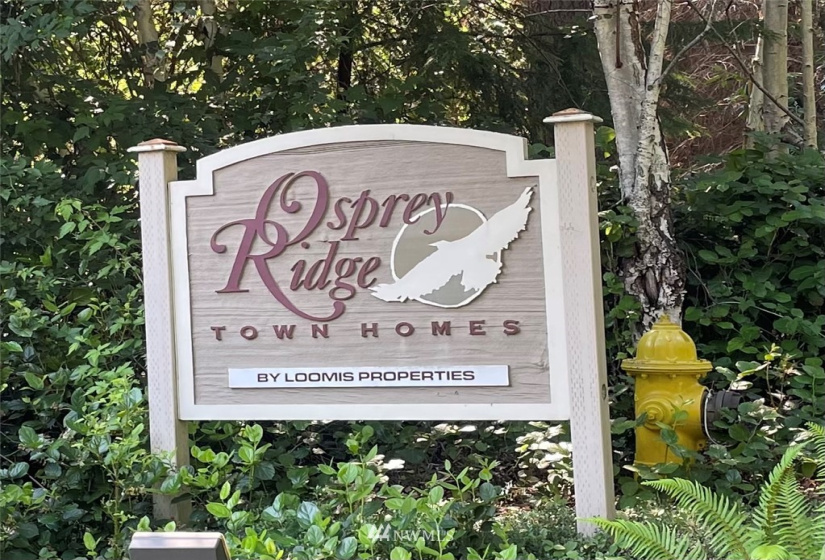 135 Osprey Ridge, Port Ludlow, Washington 98365, ,Land,For Sale,Osprey Ridge,Osprey Ridge,NWM1847871