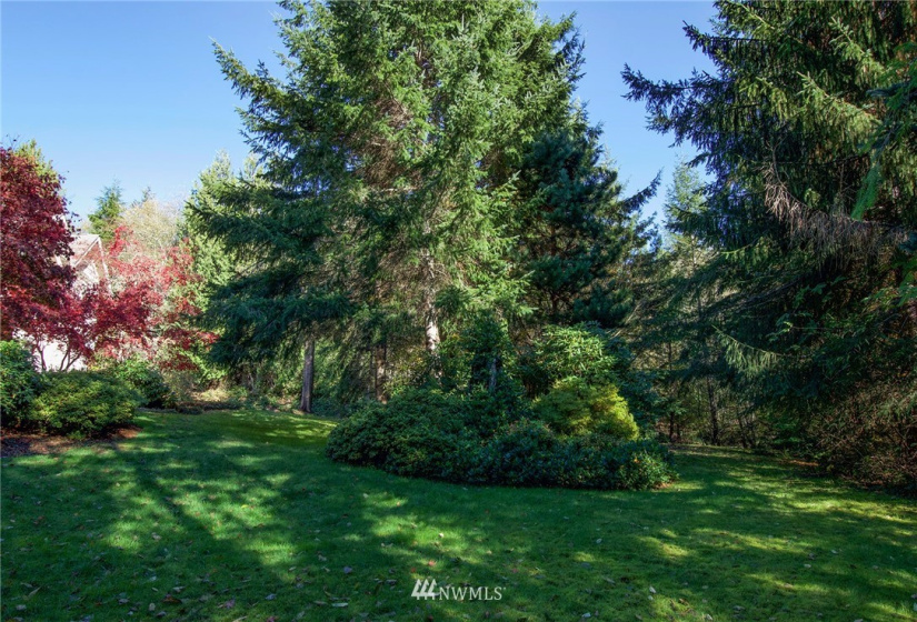 135 Osprey Ridge, Port Ludlow, Washington 98365, ,Land,For Sale,Osprey Ridge,Osprey Ridge,NWM1847871