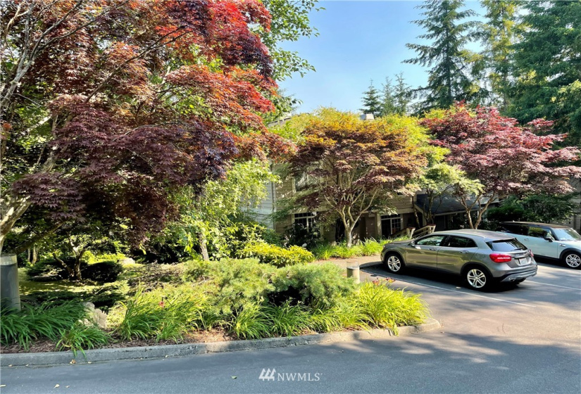 135 Osprey Ridge, Port Ludlow, Washington 98365, ,Land,For Sale,Osprey Ridge,Osprey Ridge,NWM1847871