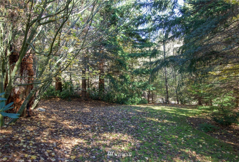 135 Osprey Ridge, Port Ludlow, Washington 98365, ,Land,For Sale,Osprey Ridge,Osprey Ridge,NWM1847871