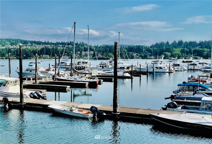 135 Osprey Ridge, Port Ludlow, Washington 98365, ,Land,For Sale,Osprey Ridge,Osprey Ridge,NWM1847871