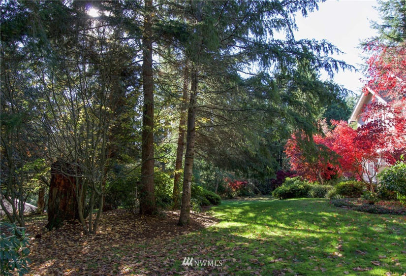 135 Osprey Ridge, Port Ludlow, Washington 98365, ,Land,For Sale,Osprey Ridge,Osprey Ridge,NWM1847871
