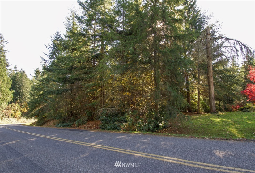 135 Osprey Ridge, Port Ludlow, Washington 98365, ,Land,For Sale,Osprey Ridge,Osprey Ridge,NWM1847871