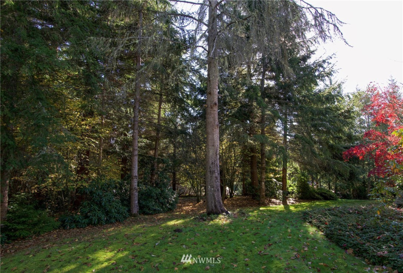 135 Osprey Ridge, Port Ludlow, Washington 98365, ,Land,For Sale,Osprey Ridge,Osprey Ridge,NWM1847871