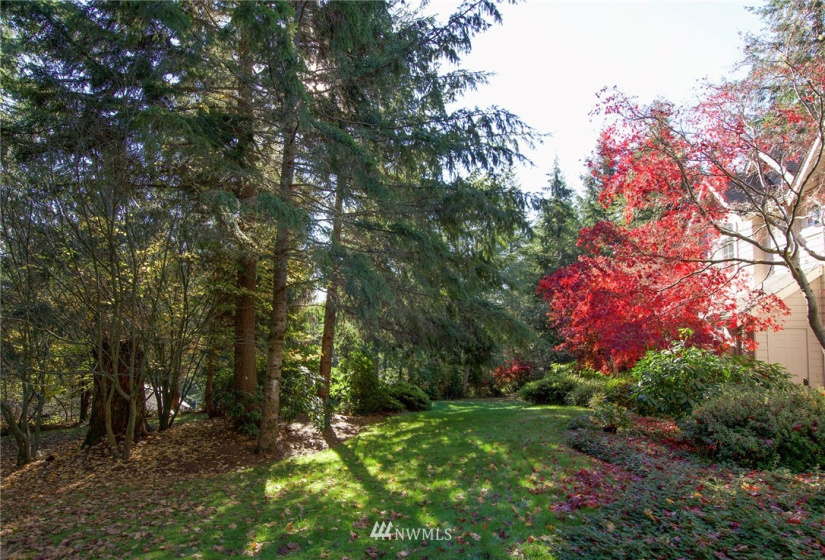 135 Osprey Ridge, Port Ludlow, Washington 98365, ,Land,For Sale,Osprey Ridge,Osprey Ridge,NWM1847871