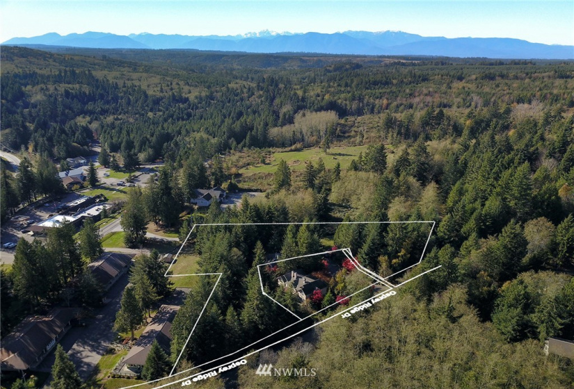 135 Osprey Ridge, Port Ludlow, Washington 98365, ,Land,For Sale,Osprey Ridge,Osprey Ridge,NWM1847871