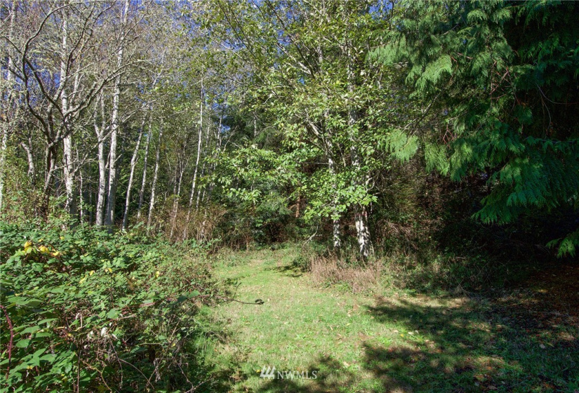 135 Osprey Ridge, Port Ludlow, Washington 98365, ,Land,For Sale,Osprey Ridge,Osprey Ridge,NWM1847871