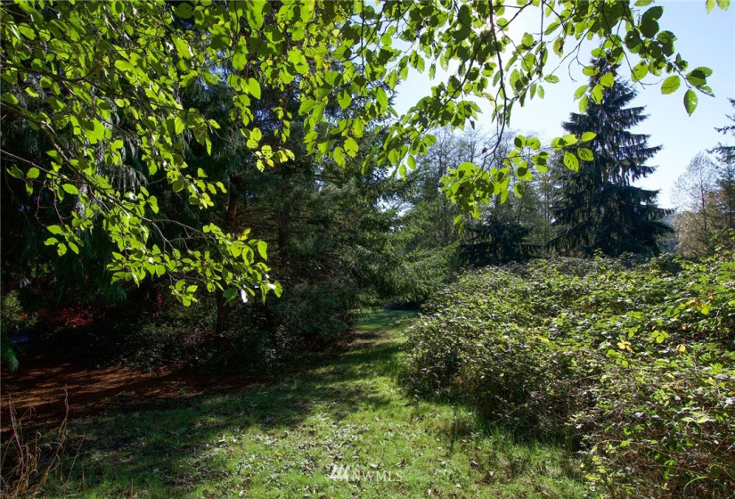 135 Osprey Ridge, Port Ludlow, Washington 98365, ,Land,For Sale,Osprey Ridge,Osprey Ridge,NWM1847871