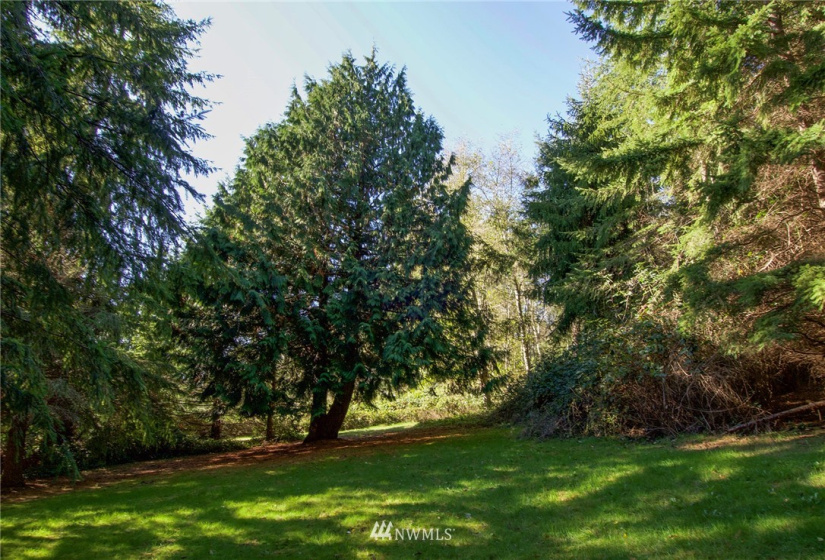 135 Osprey Ridge, Port Ludlow, Washington 98365, ,Land,For Sale,Osprey Ridge,Osprey Ridge,NWM1847871