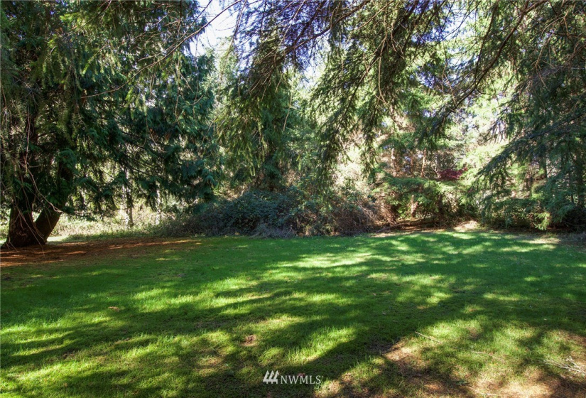 135 Osprey Ridge, Port Ludlow, Washington 98365, ,Land,For Sale,Osprey Ridge,Osprey Ridge,NWM1847871