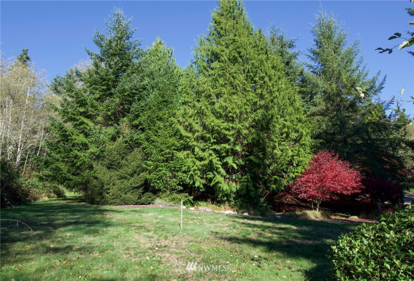 135 Osprey Ridge, Port Ludlow, Washington 98365, ,Land,For Sale,Osprey Ridge,Osprey Ridge,NWM1847871