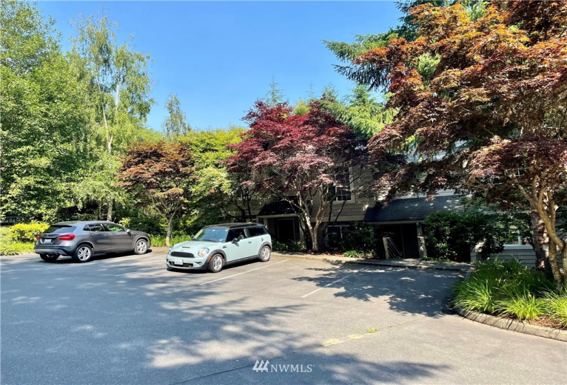 135 Osprey Ridge, Port Ludlow, Washington 98365, ,Land,For Sale,Osprey Ridge,Osprey Ridge,NWM1847871