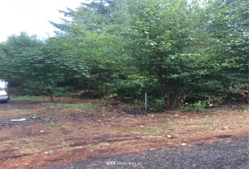 8838 Blomberg, Tumwater, Washington 98512, ,Land,For Sale,Tumwater boarder,Blomberg,NWM1849266
