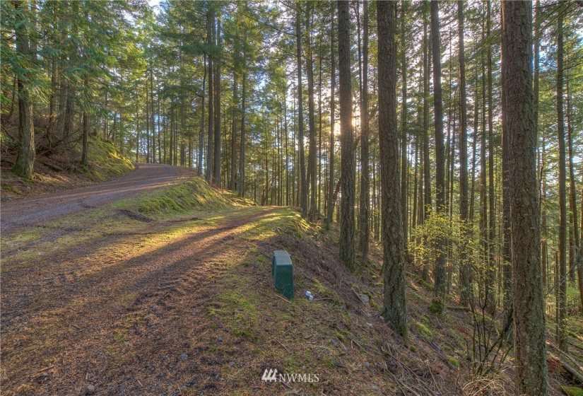 9 Lot# Spring Hill, Orcas Island, Washington 98245, ,Land,For Sale,Spring Hill,NWM1846934