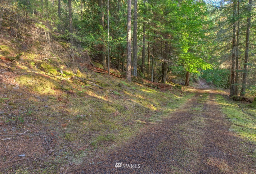 9 Lot# Spring Hill, Orcas Island, Washington 98245, ,Land,For Sale,Spring Hill,NWM1846934