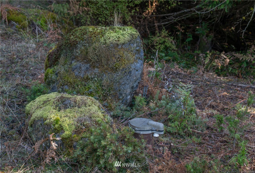 9 Lot# Spring Hill, Orcas Island, Washington 98245, ,Land,For Sale,Spring Hill,NWM1846934