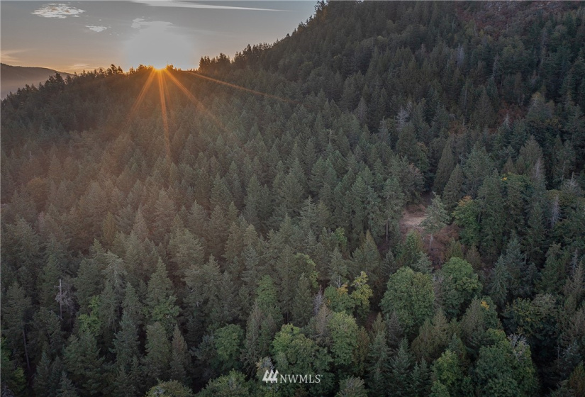 9 Lot# Spring Hill, Orcas Island, Washington 98245, ,Land,For Sale,Spring Hill,NWM1846934