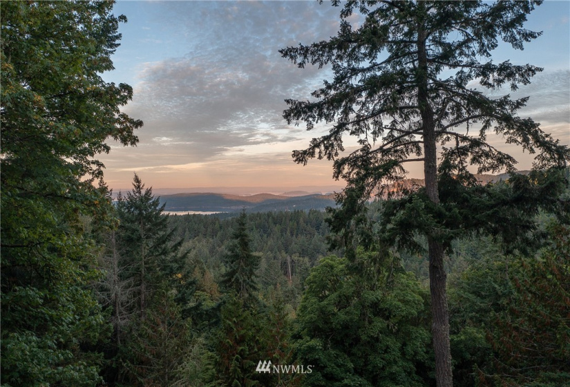 9 Lot# Spring Hill, Orcas Island, Washington 98245, ,Land,For Sale,Spring Hill,NWM1846934