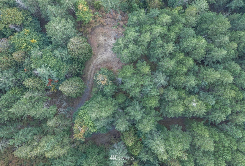 9 Lot# Spring Hill, Orcas Island, Washington 98245, ,Land,For Sale,Spring Hill,NWM1846934