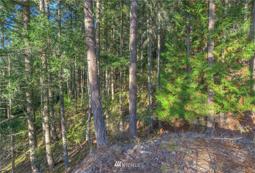 9 Lot# Spring Hill, Orcas Island, Washington 98245, ,Land,For Sale,Spring Hill,NWM1846934