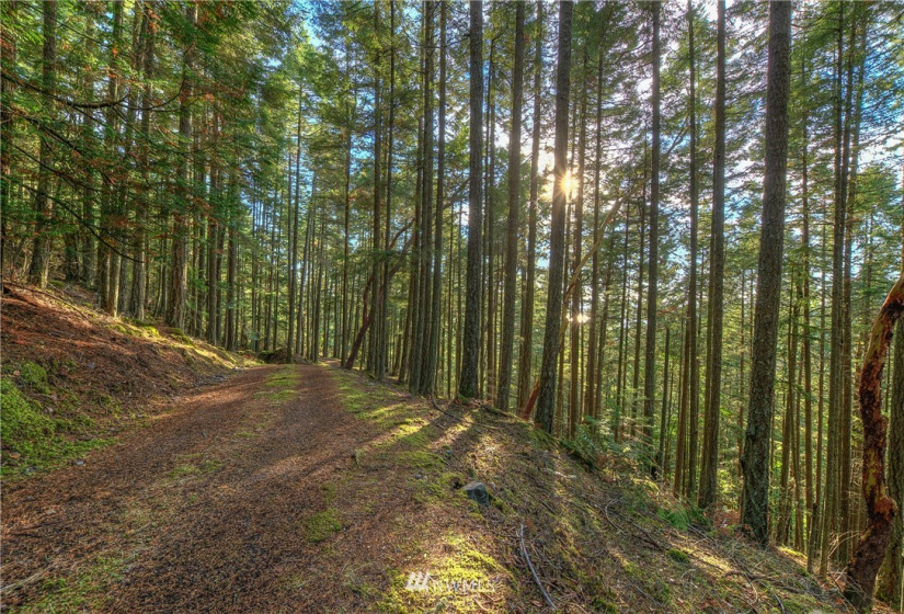 9 Lot# Spring Hill, Orcas Island, Washington 98245, ,Land,For Sale,Spring Hill,NWM1846934