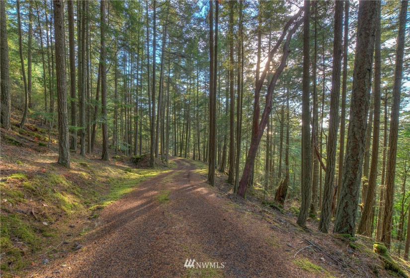 9 Lot# Spring Hill, Orcas Island, Washington 98245, ,Land,For Sale,Spring Hill,NWM1846934