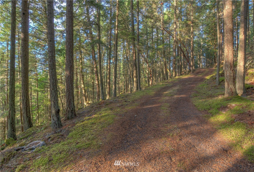 9 Lot# Spring Hill, Orcas Island, Washington 98245, ,Land,For Sale,Spring Hill,NWM1846934