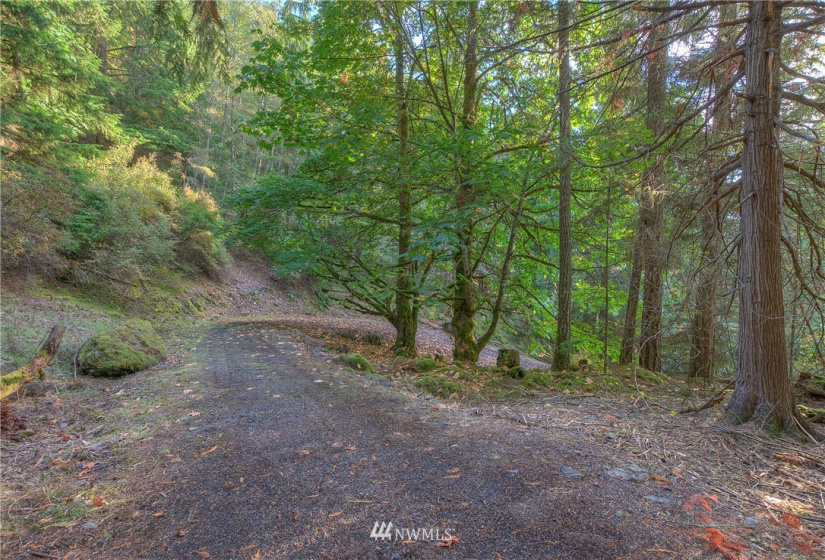 9 Lot# Spring Hill, Orcas Island, Washington 98245, ,Land,For Sale,Spring Hill,NWM1846934